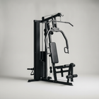 Ironline G200 Home Gym